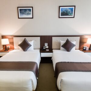 phong deluxe twin muong thanh hoang mai